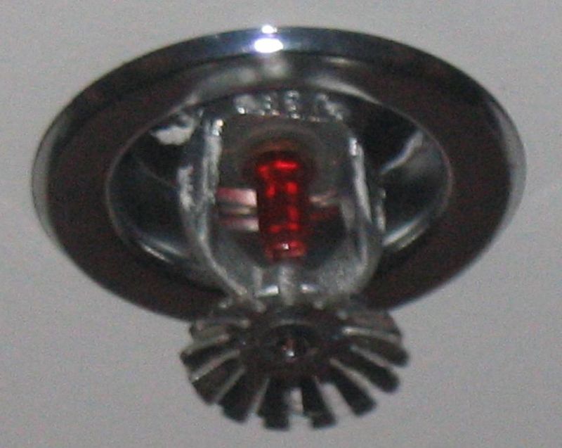 Close-up of a ceiling-mounted fire sprinkler head